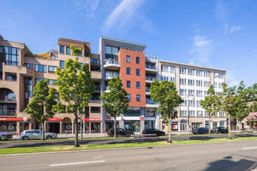 Distillerie Hasselt